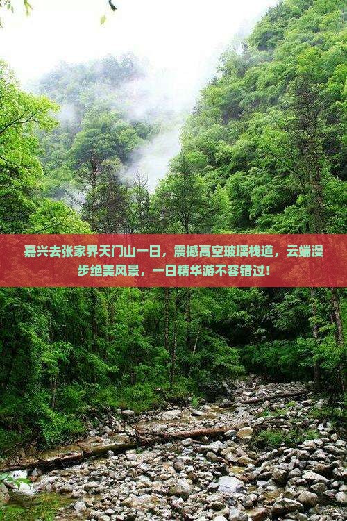 嘉兴去张家界天门山一日