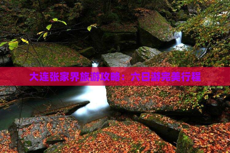 大连到张家界大峡谷六日游