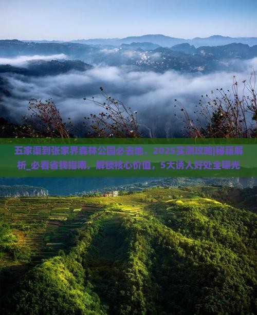 五家渠到张家界森林公园必去地