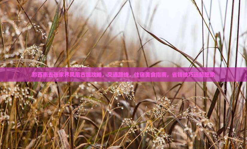 黔西南去张家界凤凰古城攻略