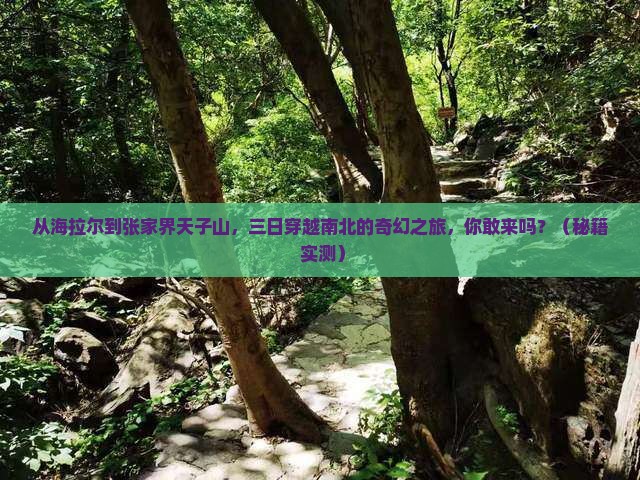 海拉尔到张家界天子山三日游