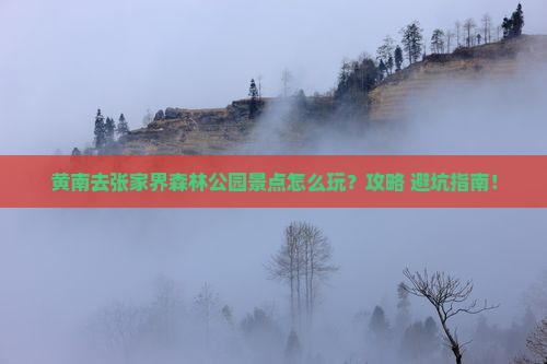 黄南去张家界森林公园景点