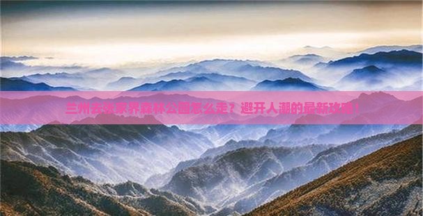 兰州去张家界森林公园攻略