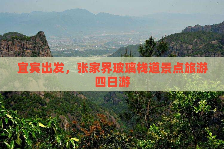 宜宾去张家界玻璃栈道四日游