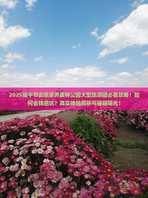 端午节去张家界森林公园大型旅游团