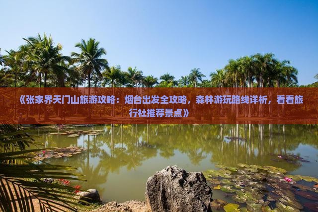 《张家界天门山旅游攻略：烟台出发全攻略，森林游玩路线详析，看看旅行社推荐景点》