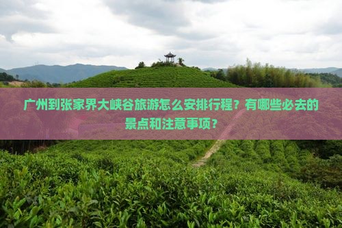 广州到张家界大峡谷旅游怎么安排行程？有哪些必去的景点和注意事项？