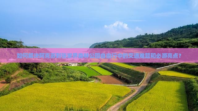 如何解决阿克苏到张家界森林公园自由行中的交通难题和必游亮点？