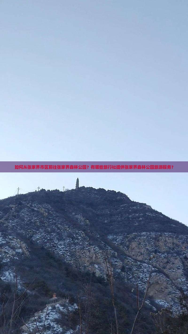 如何从张家界市区前往张家界森林公园？有哪些旅行社提供张家界森林公园旅游服务？