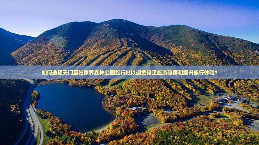 如何选择天门至张家界森林公园旅行社以避免常见旅游陷阱和提升旅行体验？