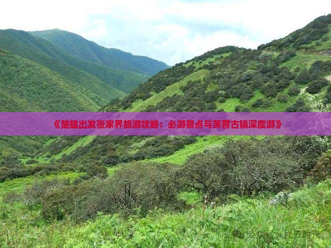 《楚雄出发张家界旅游攻略：必游景点与芙蓉古镇深度游》