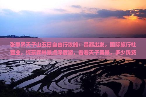 张家界天子山五日自由行攻略：昌都出发，国际旅行社营业，纯玩森林景点深度游，看看天子美景，多少钱费用详解