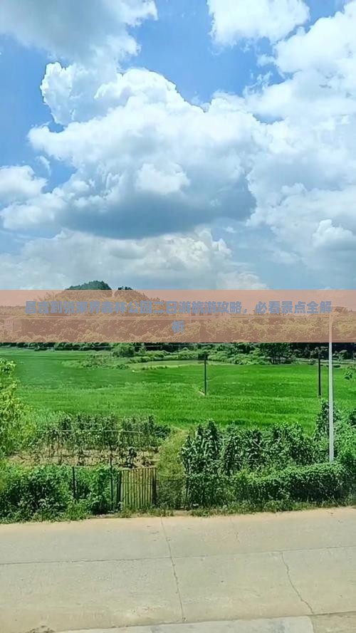 昌吉到张家界森林公园二日游旅游攻略，必看景点全解析