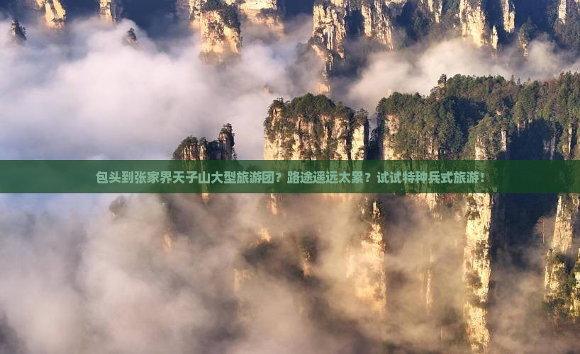 包头到张家界天子山大型旅游团？路途遥远太累？试试特种兵式旅游！