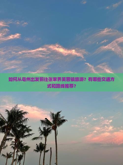 如何从亳州出发前往张家界芙蓉镇旅游？有哪些交通方式和路线推荐？