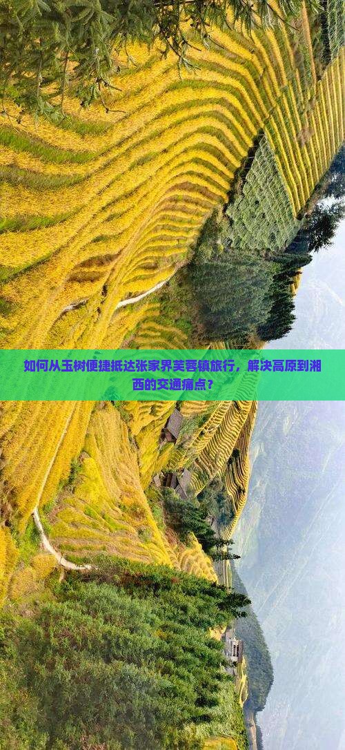 如何从玉树便捷抵达张家界芙蓉镇旅行，解决高原到湘西的交通痛点？