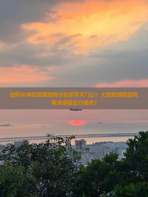 如何从神农架便捷前往张家界天门山？大型旅游团如何解决游客出行痛点？