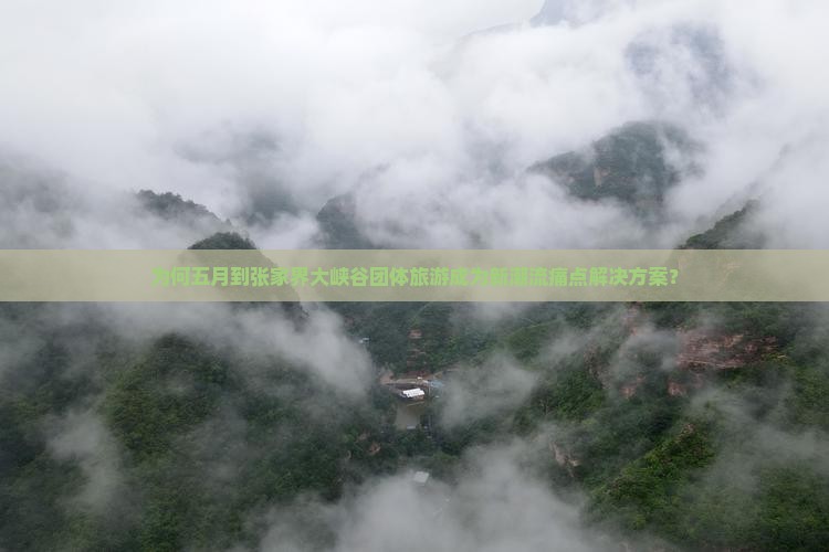 为何五月到张家界大峡谷团体旅游成为新潮流痛点解决方案？
