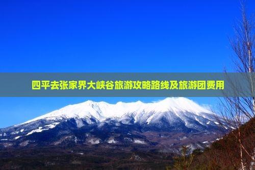 四平去张家界大峡谷旅游攻略路线及旅游团费用