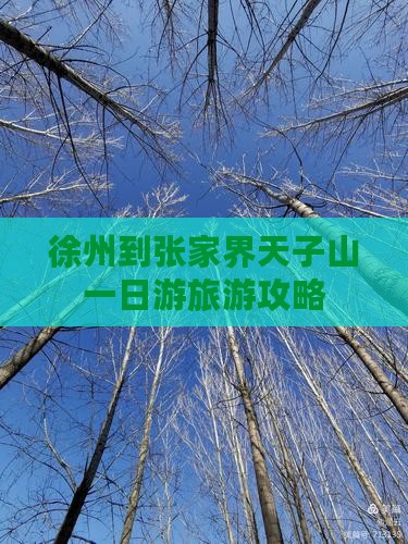 徐州到张家界天子山一日游旅游攻略