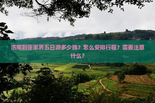 济南到张家界五日游多少钱？怎么安排行程？需要注意什么？