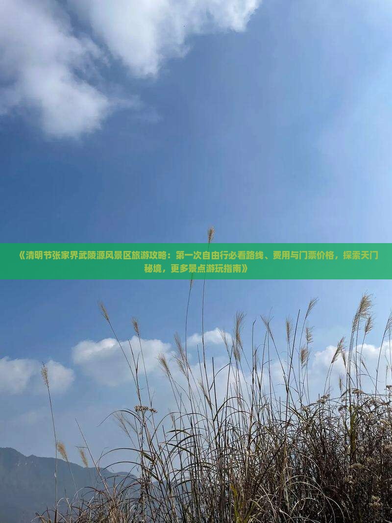 《清明节张家界武陵源风景区旅游攻略：第一次自由行必看路线、费用与门票价格，探索天门秘境，更多景点游玩指南》