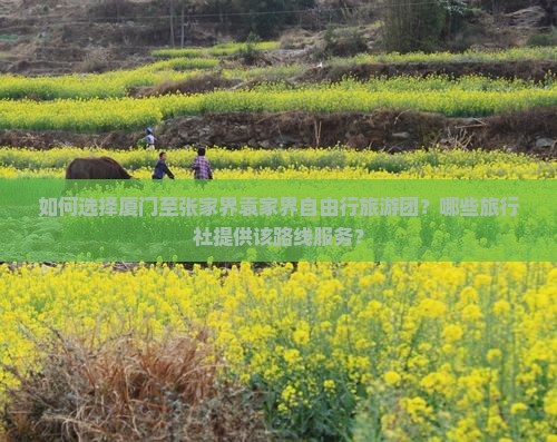 如何选择厦门至张家界袁家界自由行旅游团？哪些旅行社提供该路线服务？