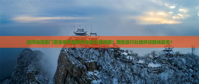 如何选择厦门至张家界袁家界自由行旅游团？哪些旅行社提供该路线服务？