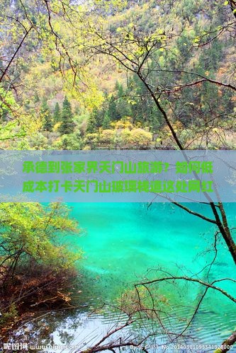 承德到张家界天门山旅游？如何低成本打卡天门山玻璃栈道这处网红地？