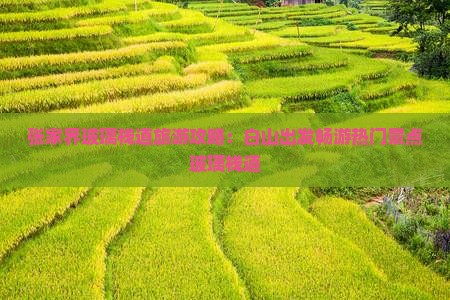 张家界玻璃栈道旅游攻略：白山出发畅游热门景点玻璃栈道