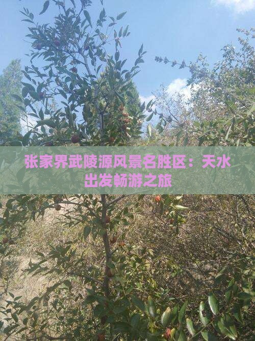 张家界武陵源风景名胜区：天水出发畅游之旅