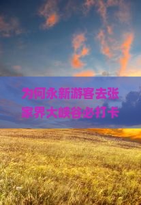 为何永新游客去张家界大峡谷必打卡？热门景点背后哪些痛点与热词？