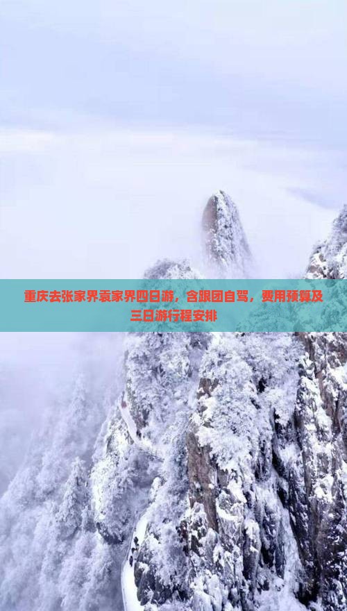 重庆去张家界袁家界四日游，含跟团自驾，费用预算及三日游行程安排