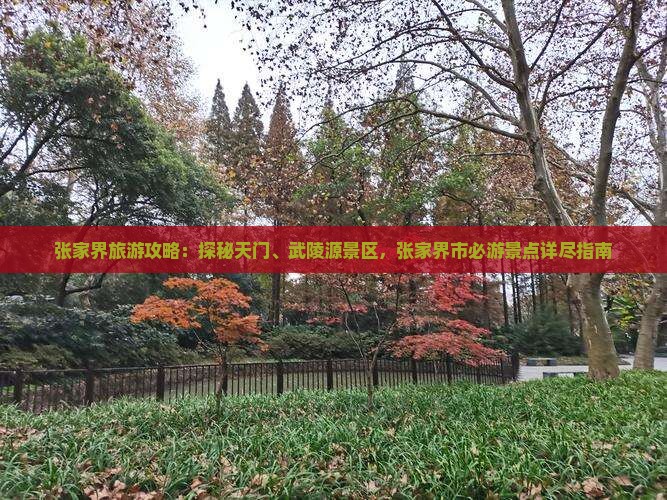 张家界旅游攻略：探秘天门、武陵源景区，张家界市必游景点详尽指南