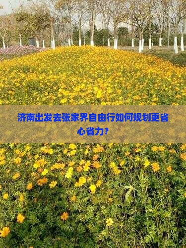 济南出发去张家界自由行如何规划更省心省力？