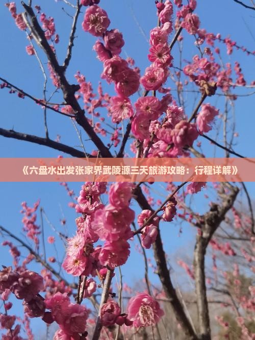 《六盘水出发张家界武陵源三天旅游攻略：行程详解》