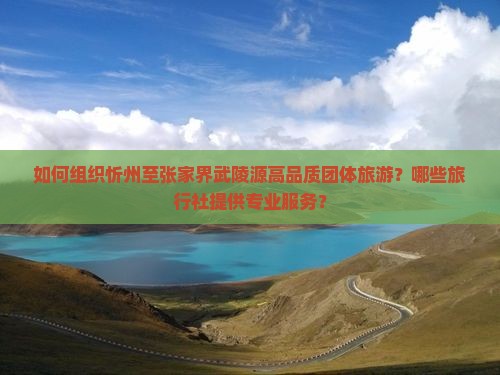 如何组织忻州至张家界武陵源高品质团体旅游？哪些旅行社提供专业服务？