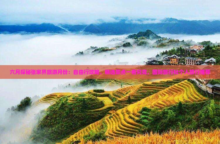六月探秘张家界旅游月份：自由行攻略，精选景点一看究竟，国际旅行社个人旅行推荐