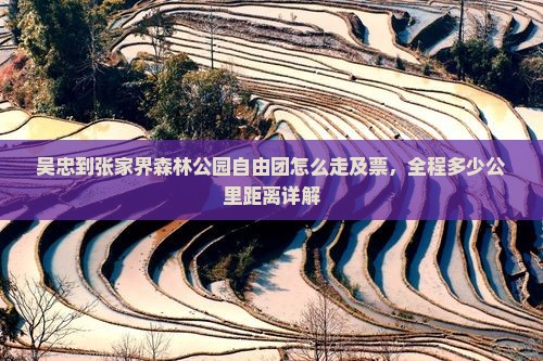 吴忠到张家界森林公园自由团怎么走及票，全程多少公里距离详解