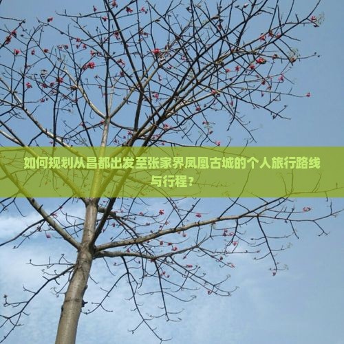 如何规划从昌都出发至张家界凤凰古城的个人旅行路线与行程？