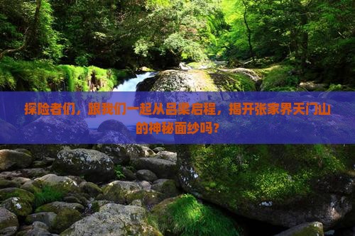 探险者们,跟我们一起从吕梁启程,揭开张家界天门山的神秘面纱吗? 探险者们,跟我们一起从吕梁启程,揭开张家界天门山的神秘面纱吗?