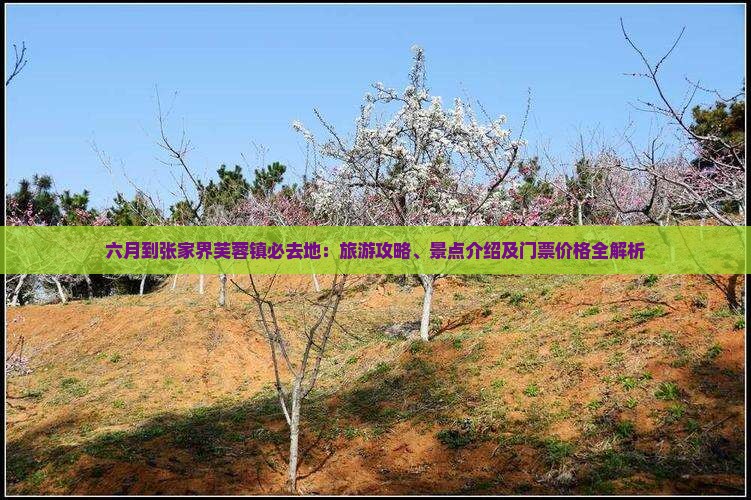 六月到张家界芙蓉镇必去地:旅游攻略、景点介绍及门票价格全解析 六月到张家界芙蓉镇必去地:旅游攻略、景点介绍及门票价格全解析