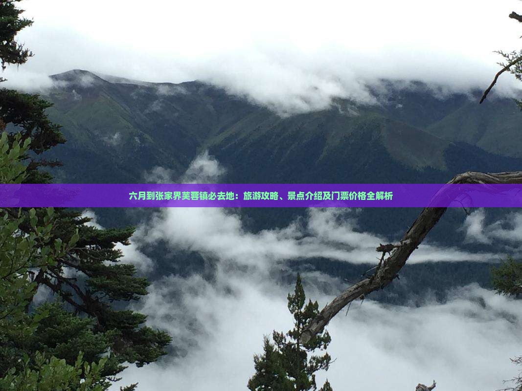 六月到张家界芙蓉镇必去地:旅游攻略、景点介绍及门票价格全解析 六月到张家界芙蓉镇必去地:旅游攻略、景点介绍及门票价格全解析