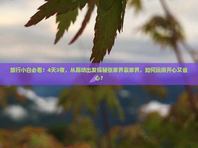 旅行小白必看！4天3夜，从廊坊出发探秘张家界袁家界，如何玩得开心又省心？