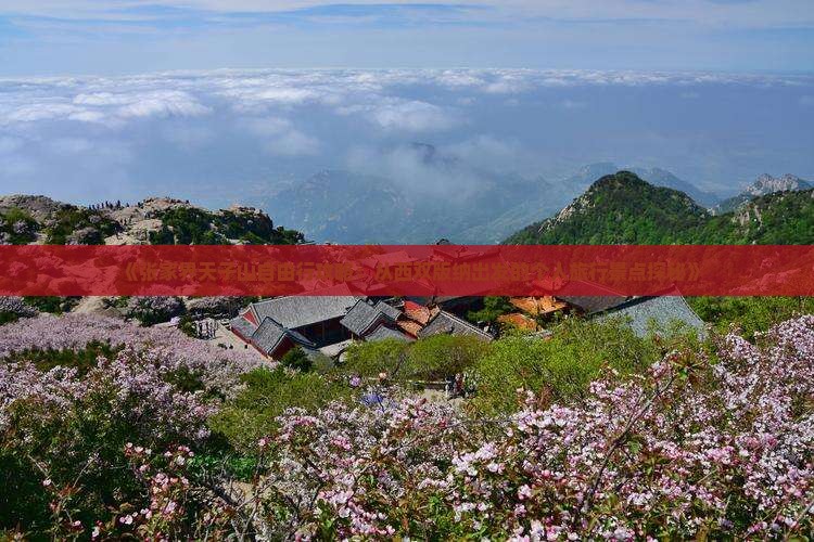 《张家界天子山自由行攻略：从西双版纳出发的个人旅行景点探秘》