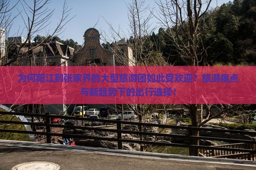 为何阳江到张家界的大型旅游团如此受欢迎？旅游痛点与新趋势下的出行选择！