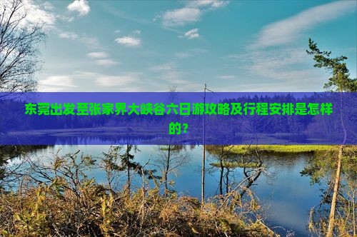 东莞出发至张家界大峡谷六日游攻略及行程安排是怎样的？