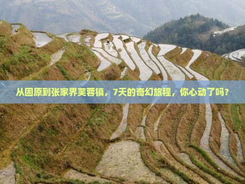 从固原到张家界芙蓉镇，7天的奇幻旅程，你心动了吗？