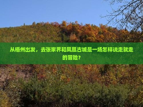 从梧州出发，去张家界和凤凰古城是一场怎样说走就走的冒险？
