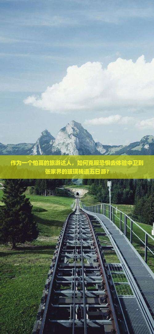 作为一个怕高的旅游达人，如何克服恐惧去体验中卫到张家界的玻璃栈道五日游？